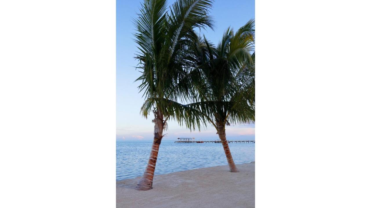 Cheeca Lodge & Spa Ісламорада Екстер'єр фото Palm trees on the beach at the Grand Hotel