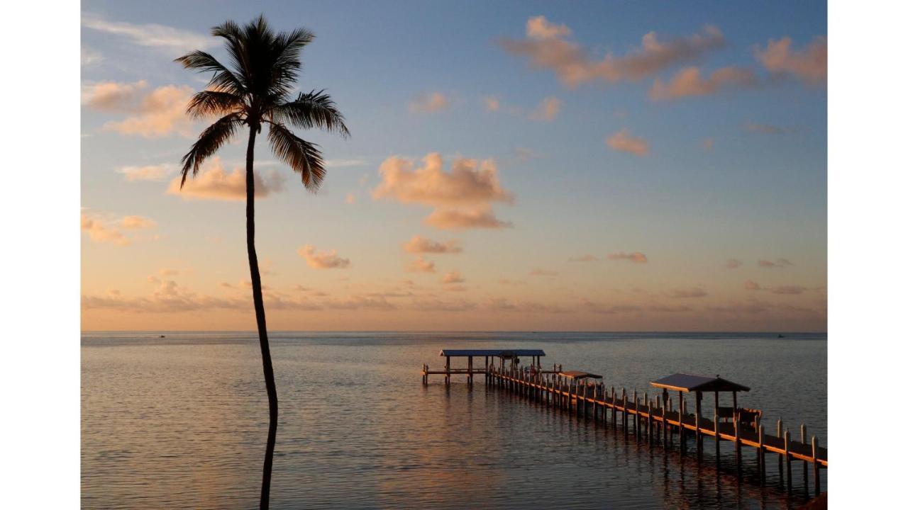 Cheeca Lodge & Spa Ісламорада Екстер'єр фото Sunset at the pier